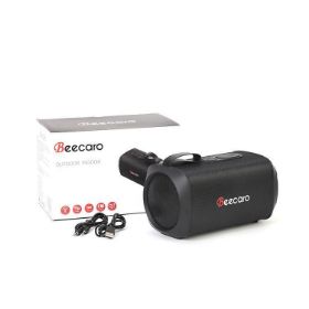 تصویر اسپیکر بیکارو Beecaro مدل GF601